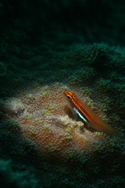 e0314451_14402242.jpg