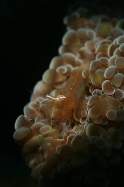 e0314451_14403850.jpg