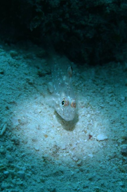 e0314451_14403894.jpg
