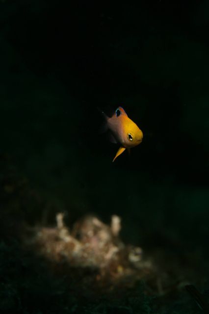 e0314451_14405314.jpg