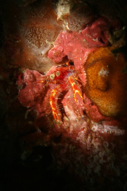 e0314451_14413097.jpg