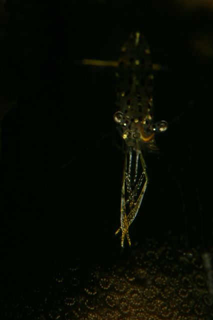 e0314451_150545.jpg