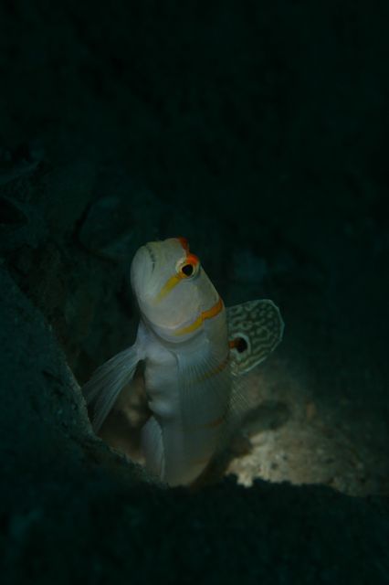 e0314451_152111.jpg