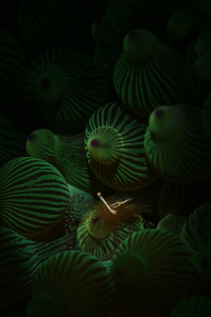 e0314451_15233737.jpg
