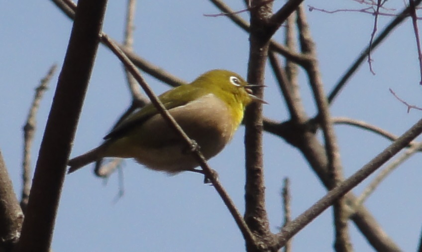c0108460_1822964.jpg