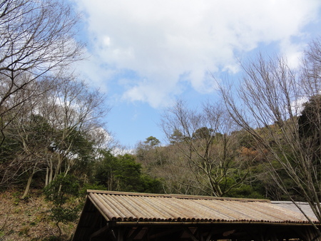 c0108460_18353294.jpg