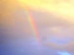 c0240877_10511614.jpg
