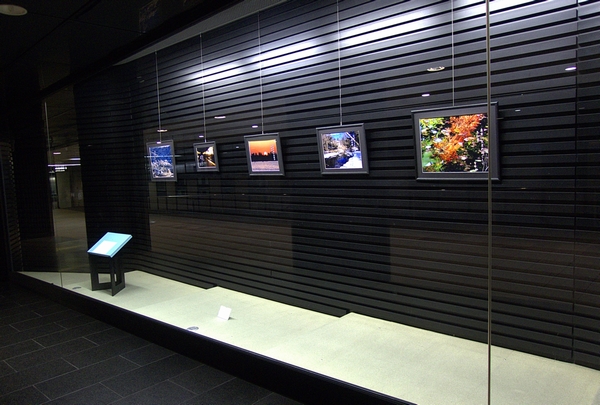 展示終了_a0248481_20503560.jpg