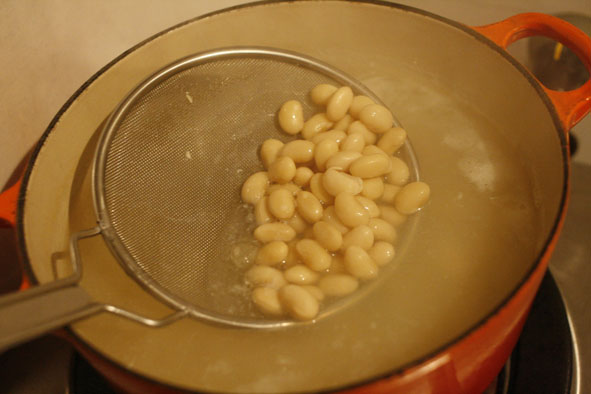 f0046982_16269.jpg