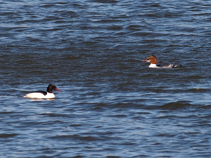 f0055184_20411616.jpg