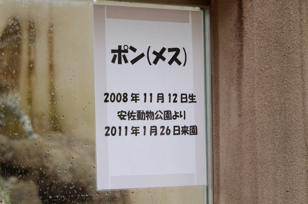 a0052986_22433457.jpg