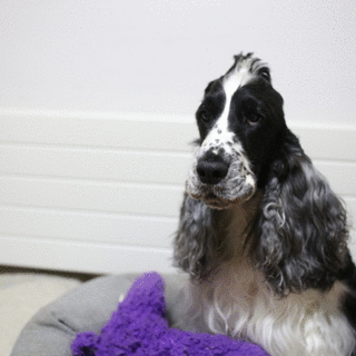 a0243387_039165.gif