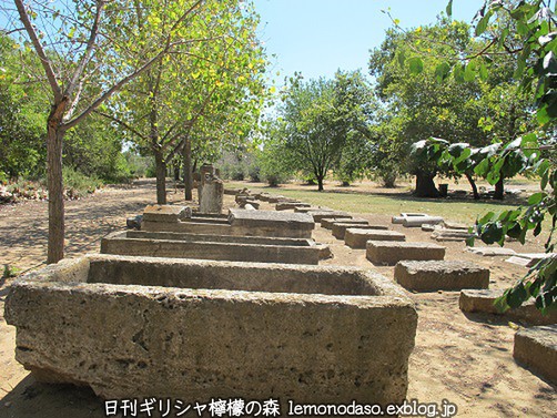 c0010496_1836945.jpg