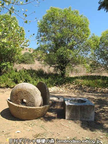 c0010496_1837374.jpg