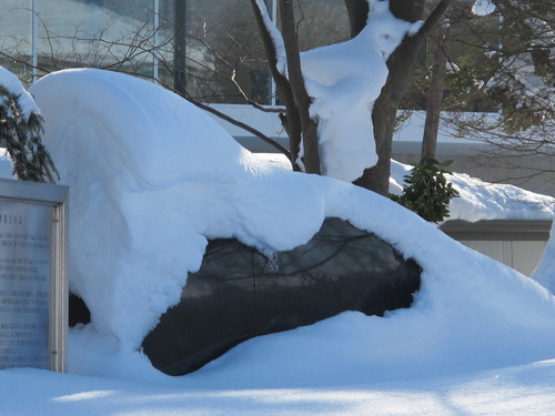 青春の詩碑　写真◎◎◎◎・・・雪_c0075701_754263.jpg