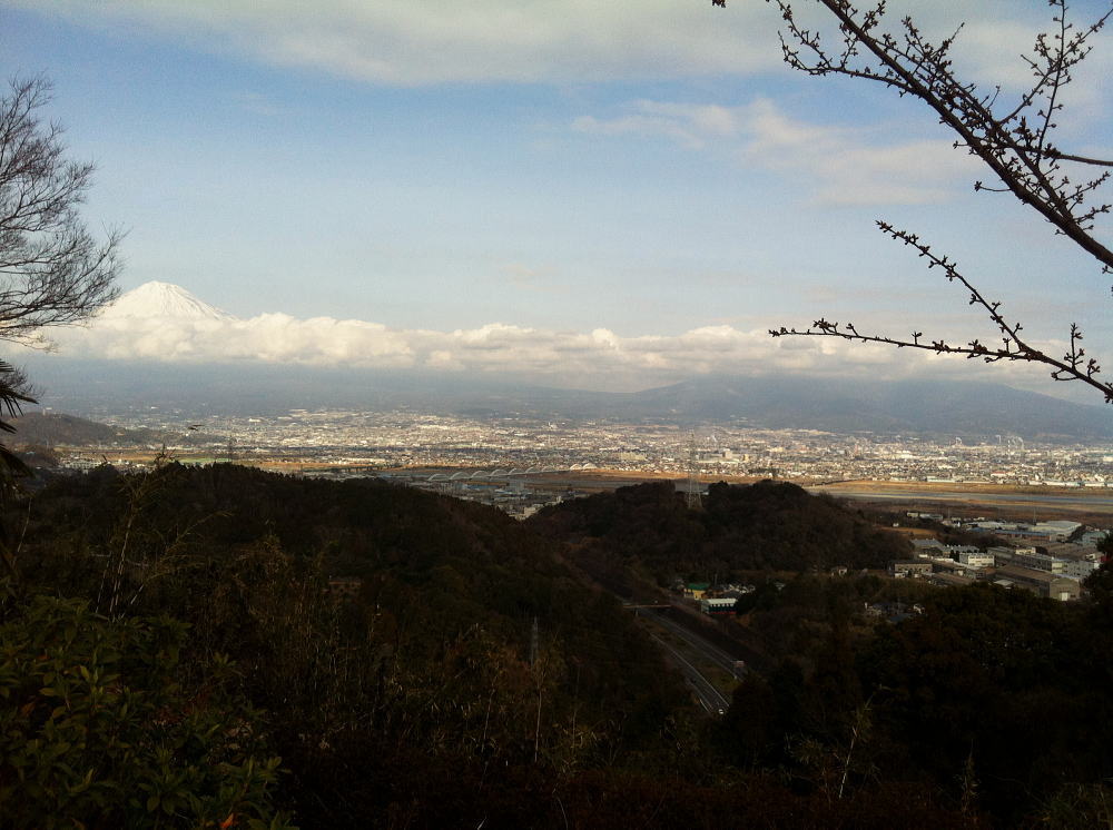 少し気味が悪かった、御殿山マラニック_b0055202_20553874.jpg