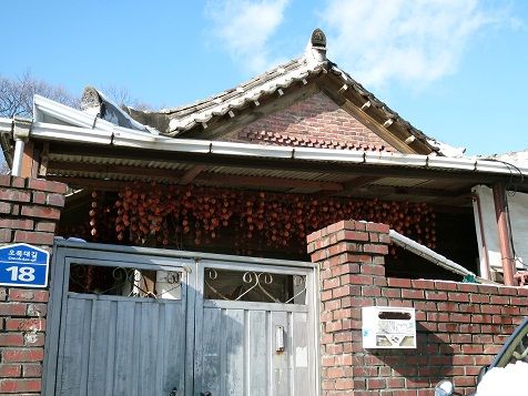a0140305_1646305.jpg