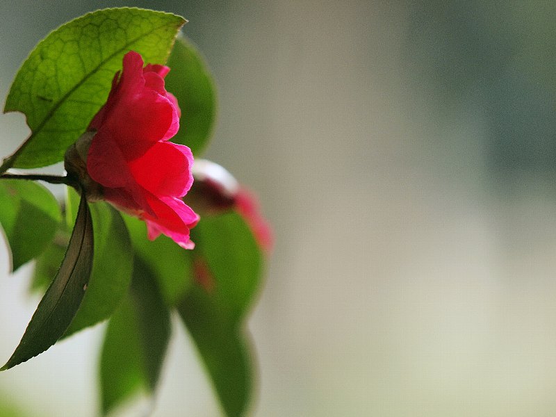 b0231705_93118100.jpg