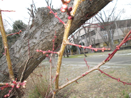 b0277505_21491040.jpg