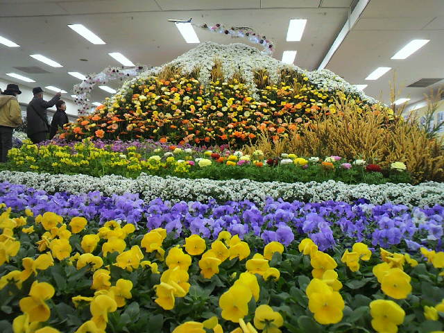 f0127408_1051133.jpg