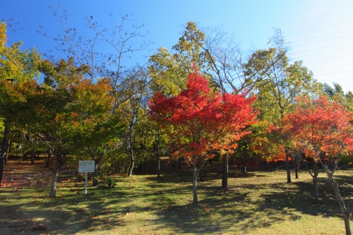 c0211309_1433544.jpg