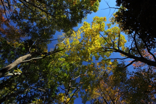 c0211309_1462095.jpg