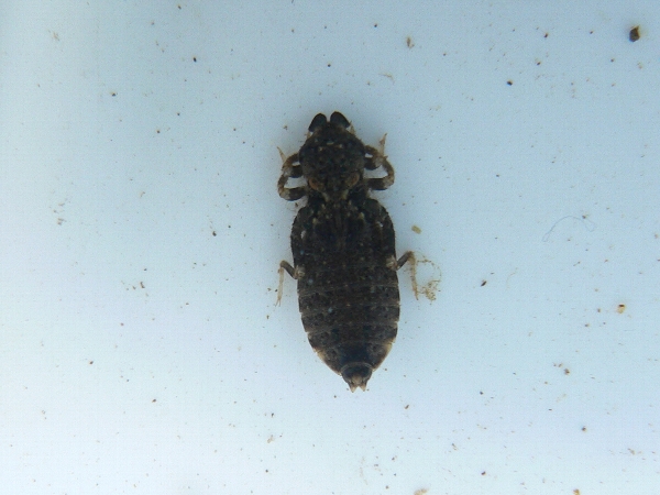 e0002314_2207100.jpg
