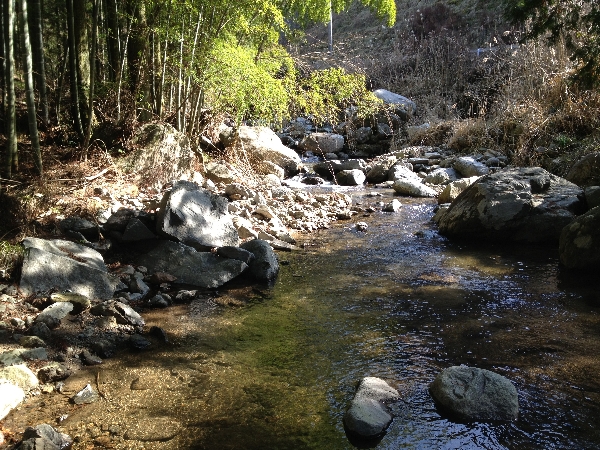 e0002314_2215740.jpg