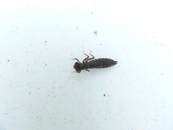 e0002314_2231455.jpg