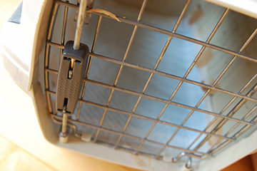 b0259218_1554218.jpg