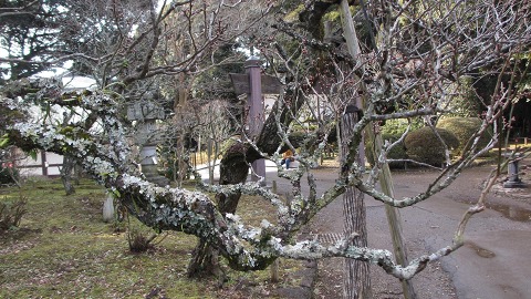 e0202031_901329.jpg