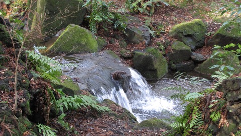 e0202031_922324.jpg