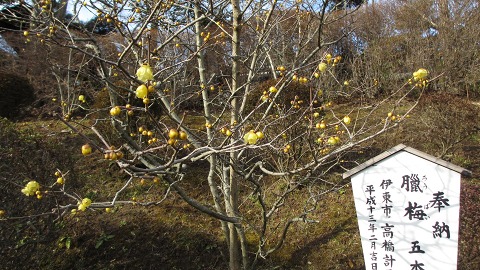 e0202031_931961.jpg