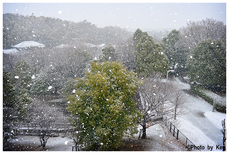 一年ぶりの日本　⑬９日目_f0066434_21191763.jpg