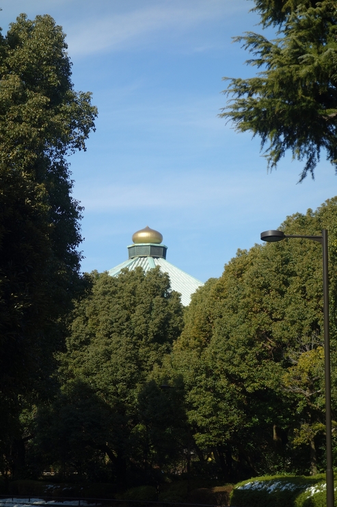 a0287336_2362927.jpg