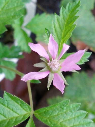 b0277638_189381.jpg