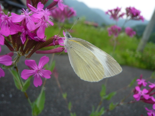 冬眠中です・・・_d0254540_20302867.jpg