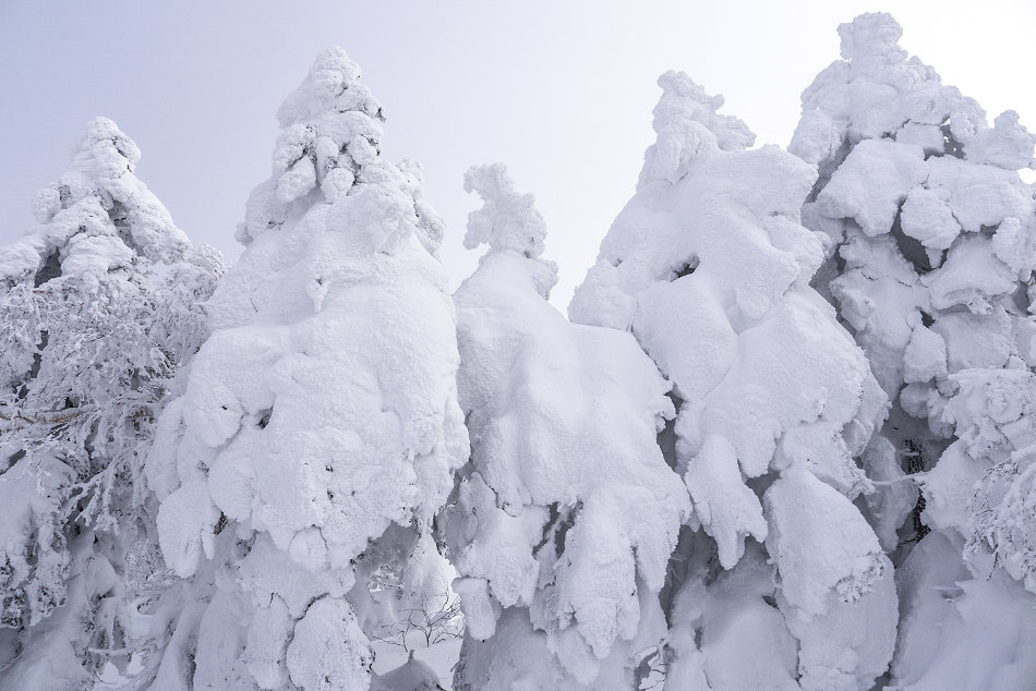 2013年 1月31日　厳冬のホロホロ山？？　後編_c0210644_002540.jpg