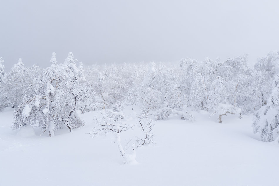 2013年 1月31日　厳冬のホロホロ山？？　後編_c0210644_004397.jpg