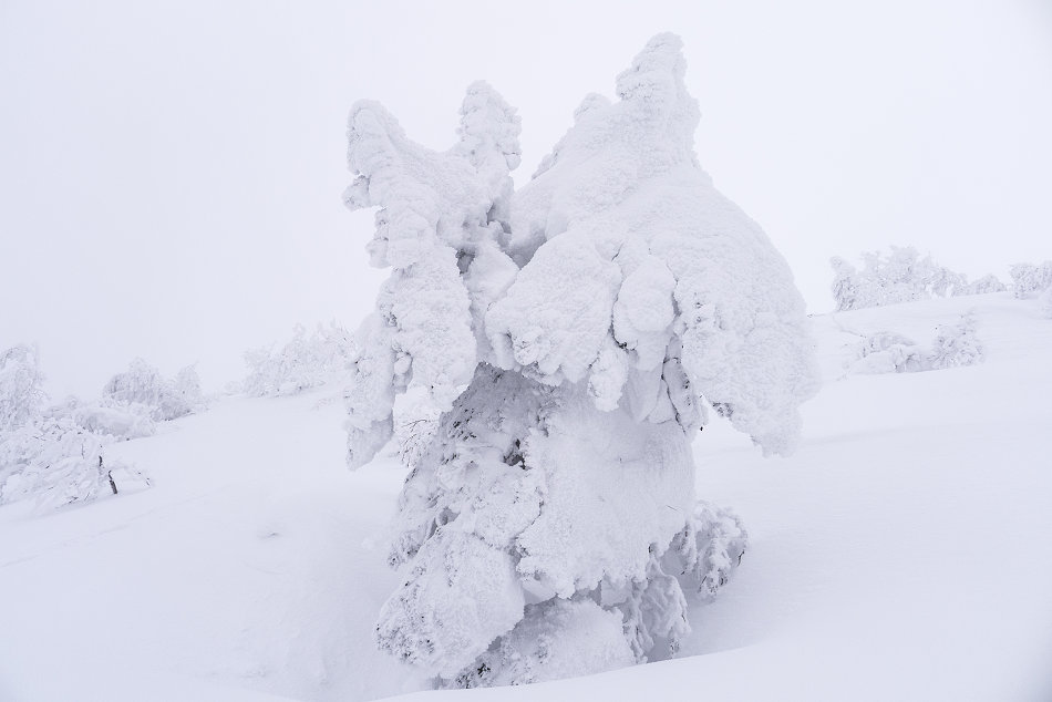 2013年 1月31日　厳冬のホロホロ山？？　後編_c0210644_03472.jpg