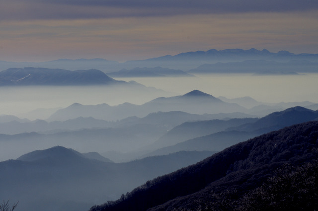 d0186245_122671.jpg