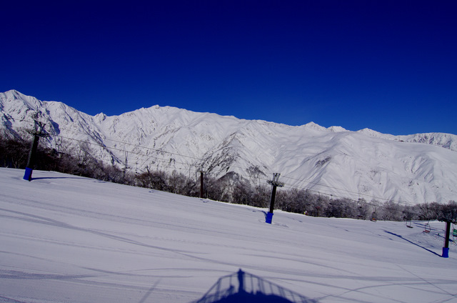 d0186245_128655.jpg