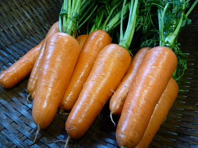 菊池ふるさと水源交流館でお食事会 その1_a0254656_13552113.jpg