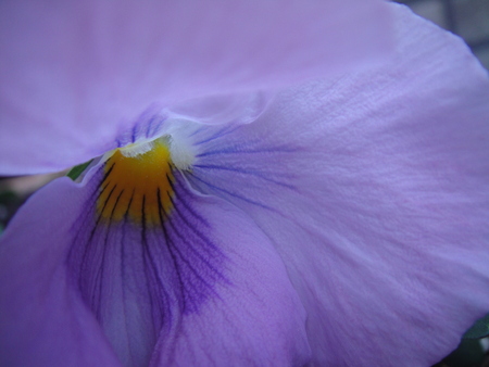 c0108460_1711791.jpg