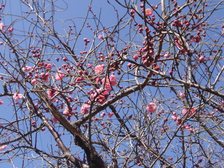 c0108460_1783953.jpg