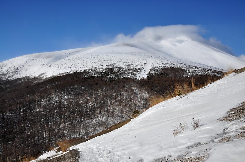 小浅間山からのスカイツリー遠望（136.7ｋｍ）_c0043361_1005942.jpg