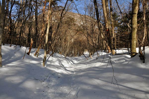 小浅間山からのスカイツリー遠望（136.7ｋｍ）_c0043361_9562554.jpg