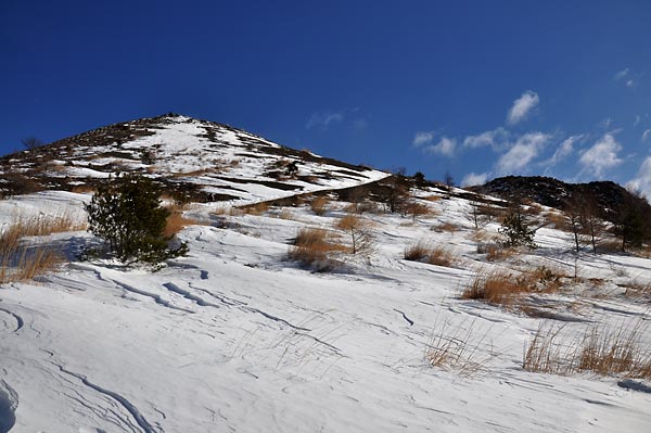 小浅間山からのスカイツリー遠望（136.7ｋｍ）_c0043361_957441.jpg