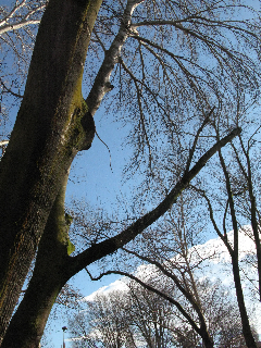 春よ来い!_a0169172_2347422.jpg