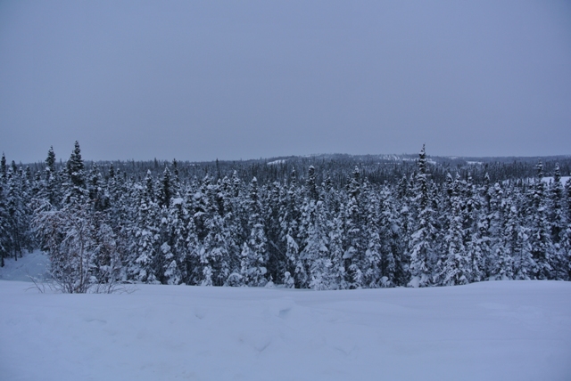 Blachford Lake Lodge_e0251088_9235315.jpg